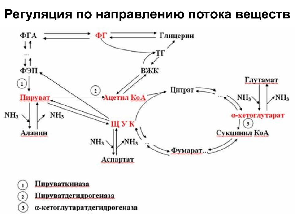 Вещества регуляции