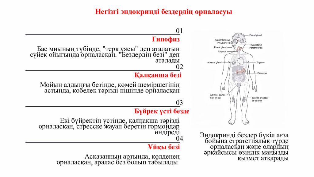 ПСИХОЛОГИЯЛЫ Қ АТМОСФЕРА ОРНАТУ Додокоэдр» тәсілі бойынша жағымды психологиялық