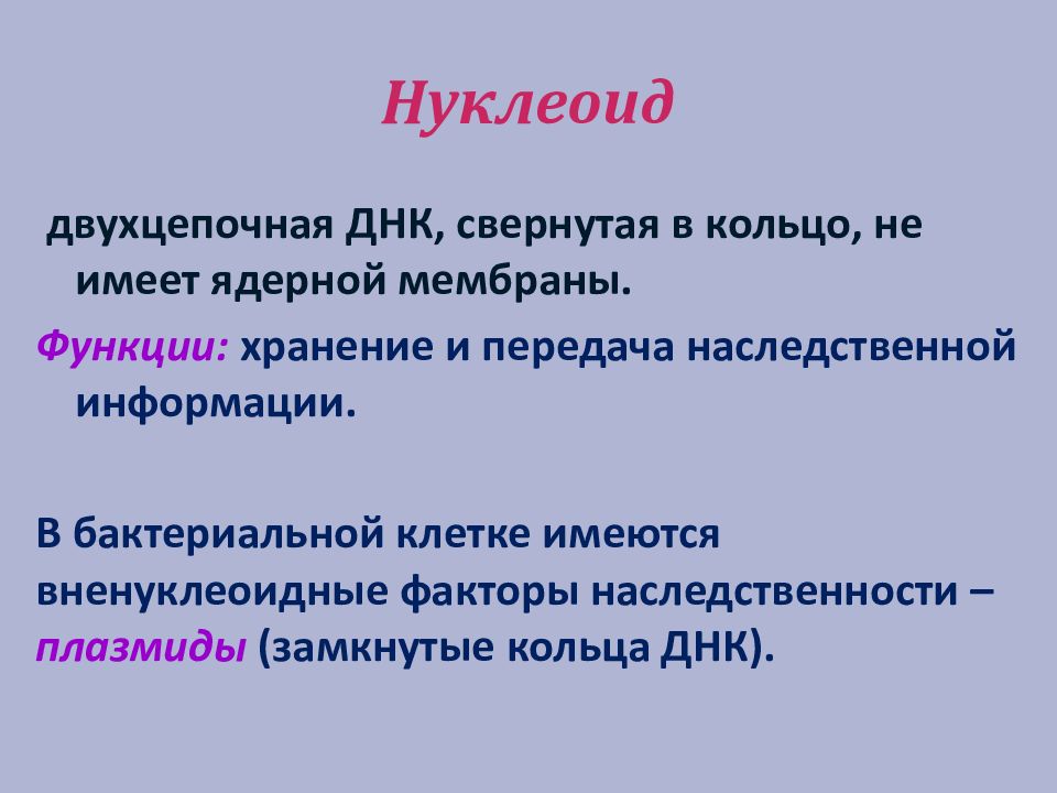 Нуклеоид бактерий выполняет следующие функции. Функции нуклеоида бактерий. Нуклеоид бактерий выполняет следующие функции. Нуклеоид бактерий выполняет следующие функции. Нуклеоид бактериальной клетки.