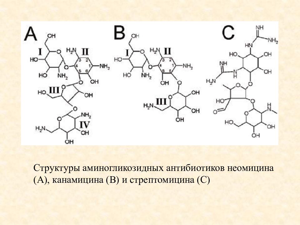 Мономицин отзывы. Аминогликозиды структура Канамицин. Канамицина сульфат структурная формула. Структурная формула Канамицина. Канамицин сульфат формула.