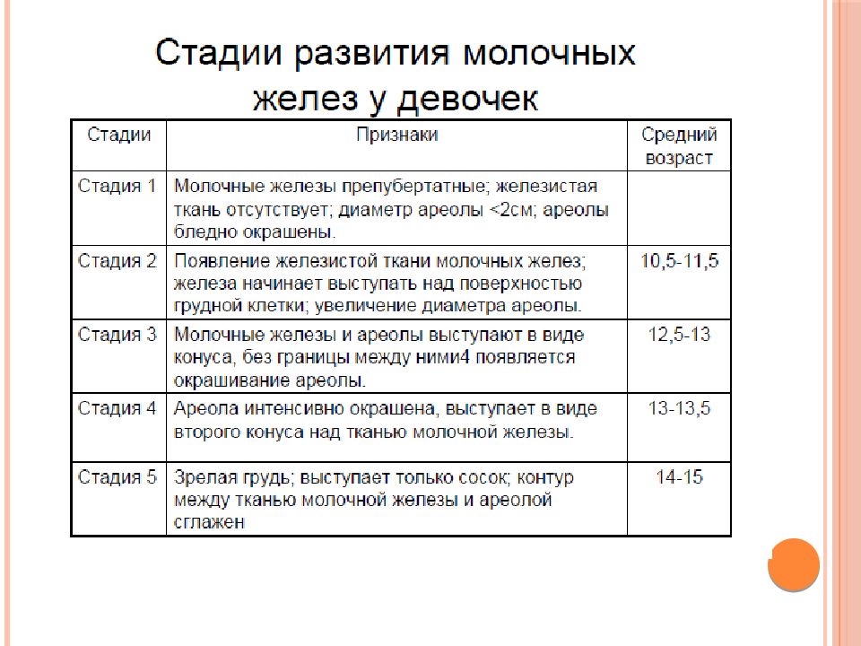 Молочные железы у девочек 10 лет. Этапы развития груди. Этапы развития молочных желез. Стадии развития молочных желез у девочек. Этапы развития груди у девочек.