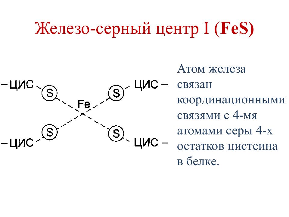 Белки серы. Железосерные белки биохимия. Железосерные кластеры. Железосерные центры. Железо-серные кластеры биохимия.