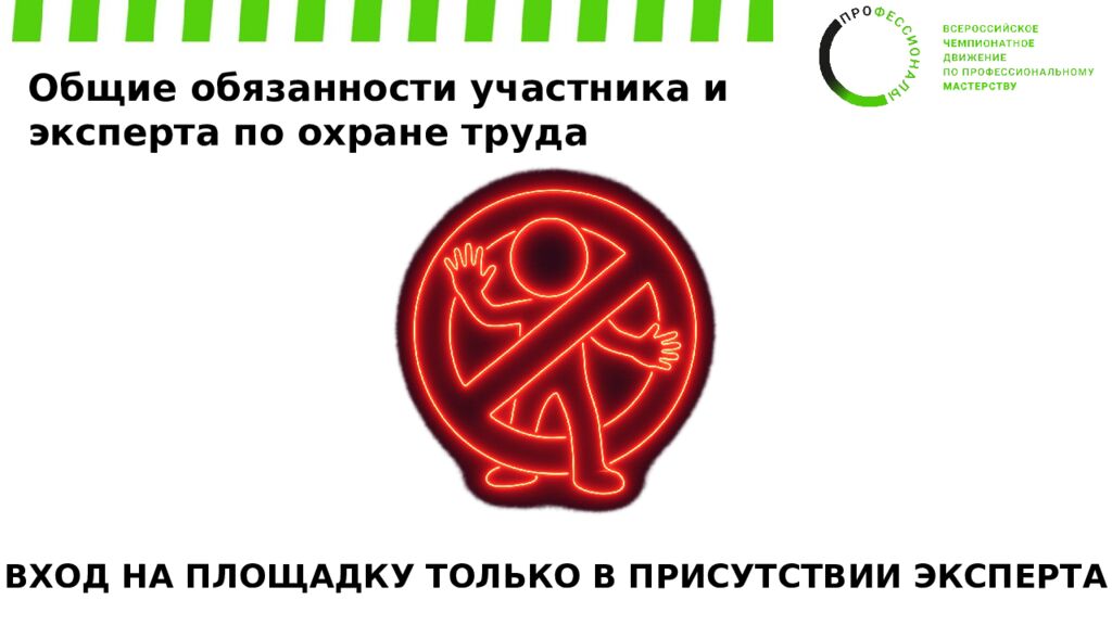 Обучение экспертов Регионального этапа ВЧД «Профессионалы» Компетенция: