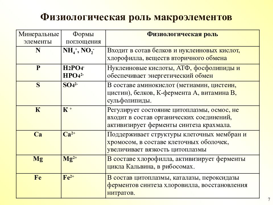 Микроэлементы и их роль в растении. Микроэлементы и их роль в растении