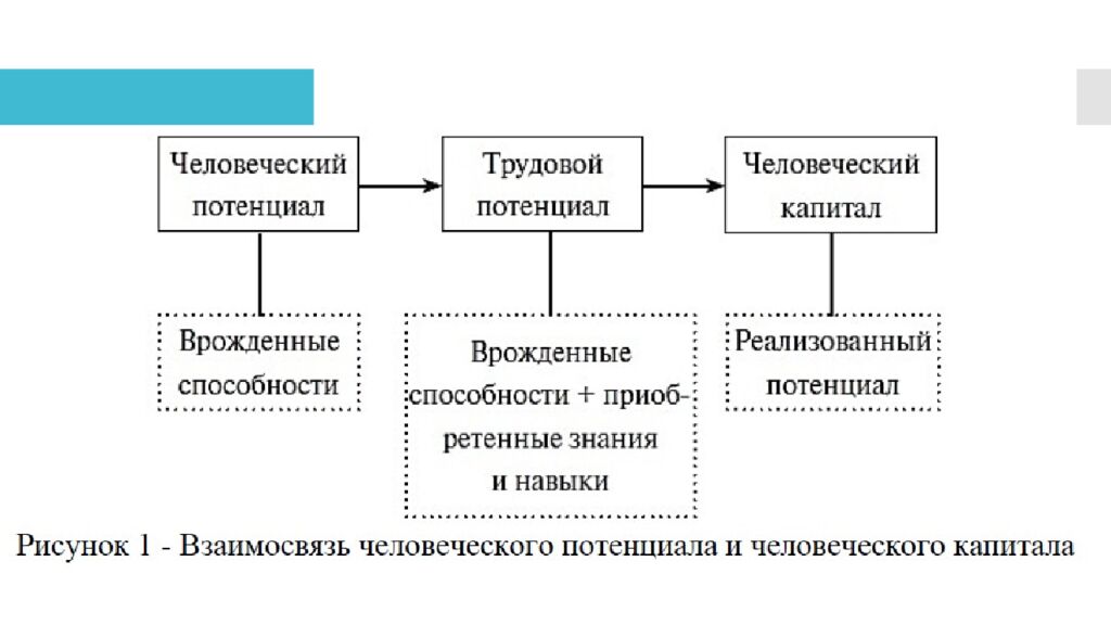 ЧЕЛОВЕЧЕСКИЙ КАПИТАЛ. АКТИВЫ, ПАССИВЫ, ДОХОДЫ, РАСХОДЫ