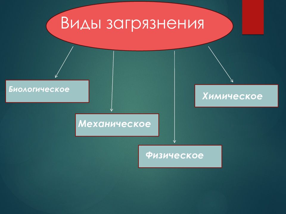 Биологическое загрязнение виды. Обобщение понятий. Обобщающие понятия. Схема обобщения понятий. Что такое обобщённые понятия.