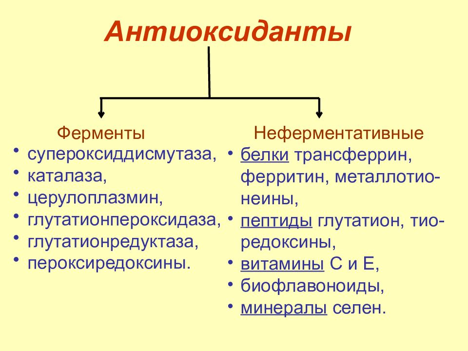 Антиоксидантные ферменты