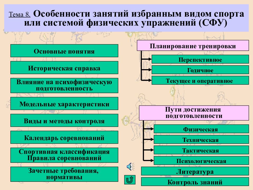 Особенности занятий избранным видом спорта презентация