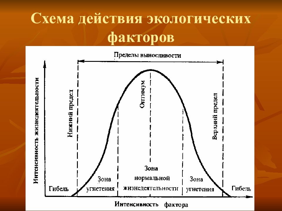 Закономерности действия факторов среды на организмы презентация