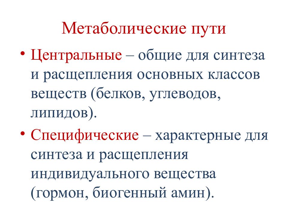 Центральный путь. Центральные метаболические пути. Общий метаболический путь. Понятие о метаболических путях. Общие и специфические метаболические пути.