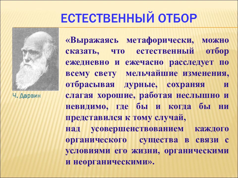 Естественный отбор проект по биологии