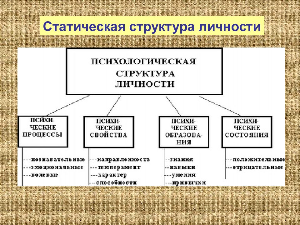 3 психологическая структура личности. Динамическая структура личности в психологии. Статическая и динамическая структура личности. Статистическая и динамическая структура личности. Модели динамической структуры личности.