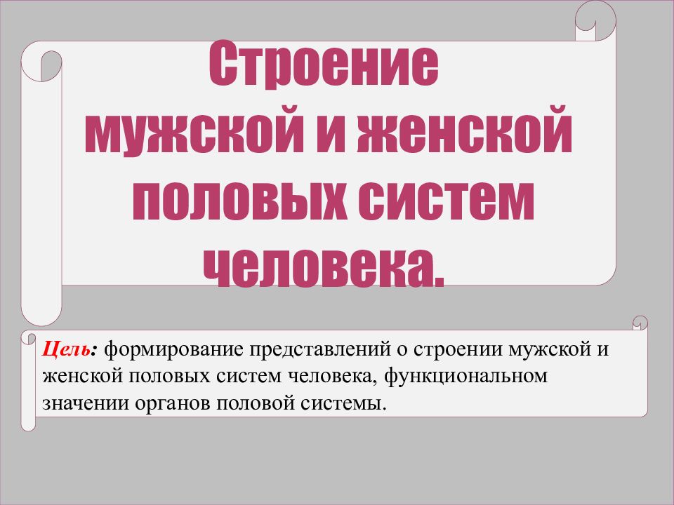 Назовите обозначенные на схемах наименования частей мужской и женской одежды