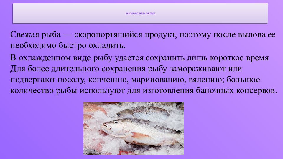 Хранения мороженой рыбы. Характеристика охлажденной рыбы. Ассортимент охлажденной рыбы. Микробиология рыбных продуктов. Качество охлажденной рыбы.