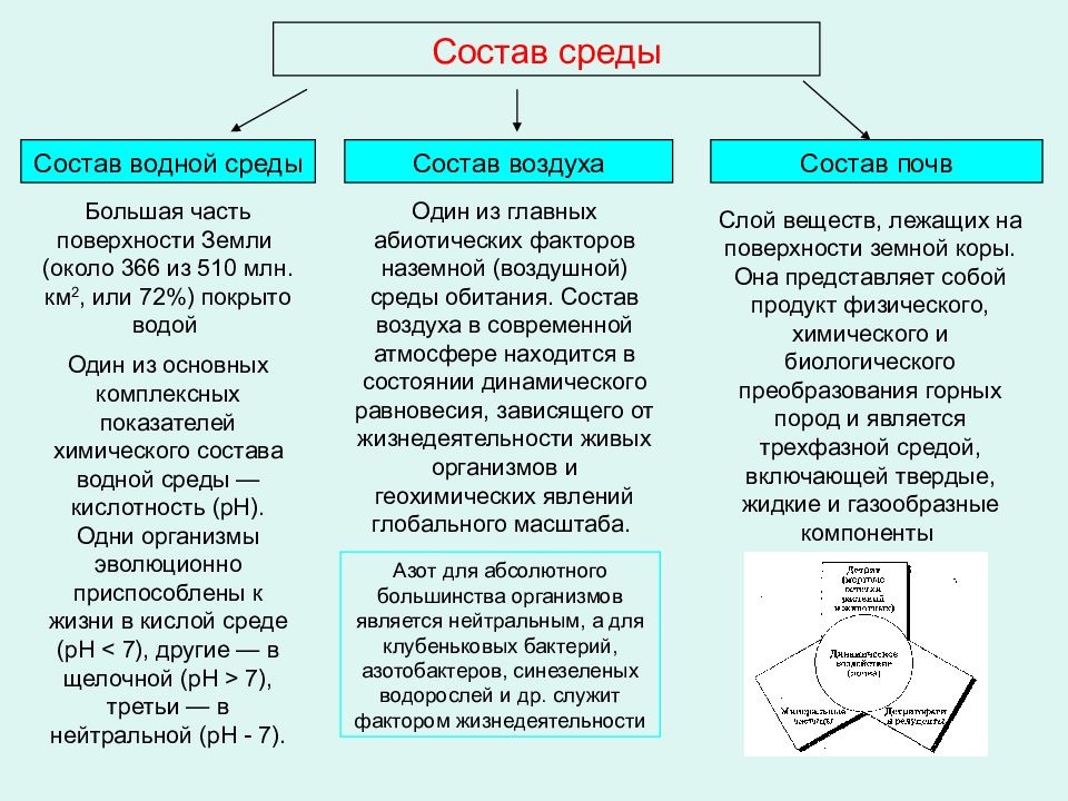 Среду состоящую из. Что такое состав окружения.