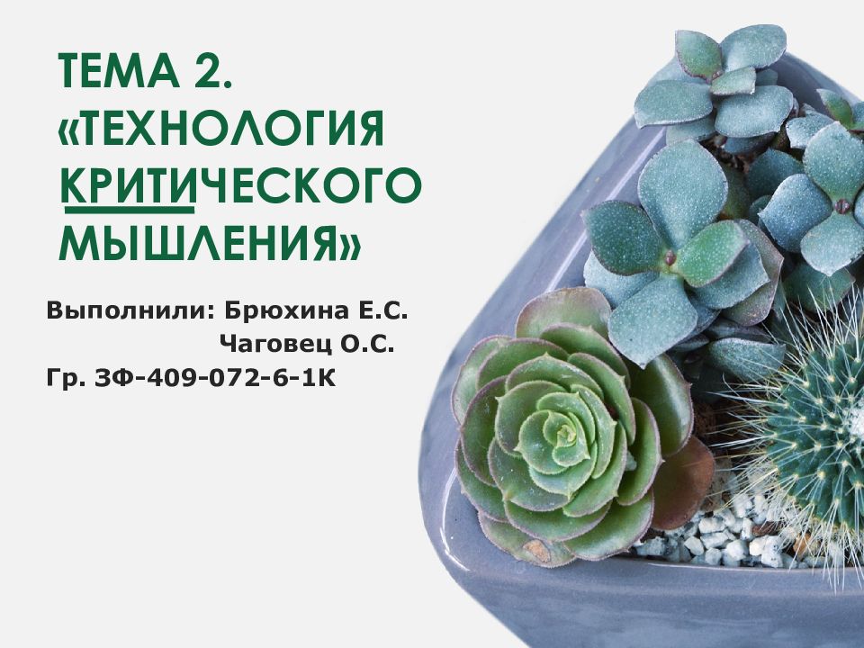 Тема 2. «Технология критического мышления»