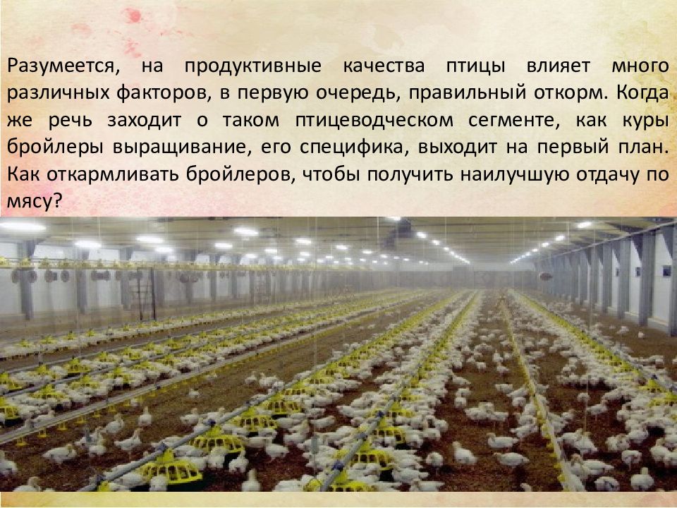 Продуктивные качества