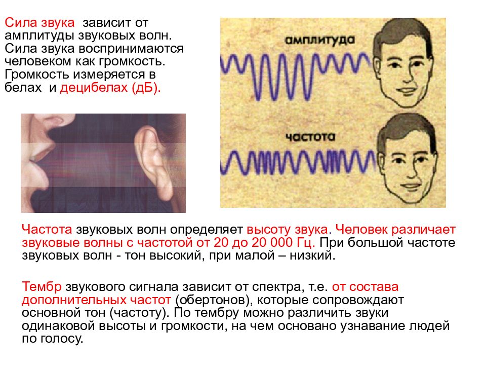 Сила звуковой волны