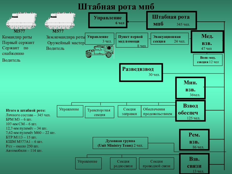 Действующие подразделение. Штабная рота батальона США. Организационно штатная структура роты штабной. Схема медицинского пункта батальона. Организационно штатная структура МПБ армии США.