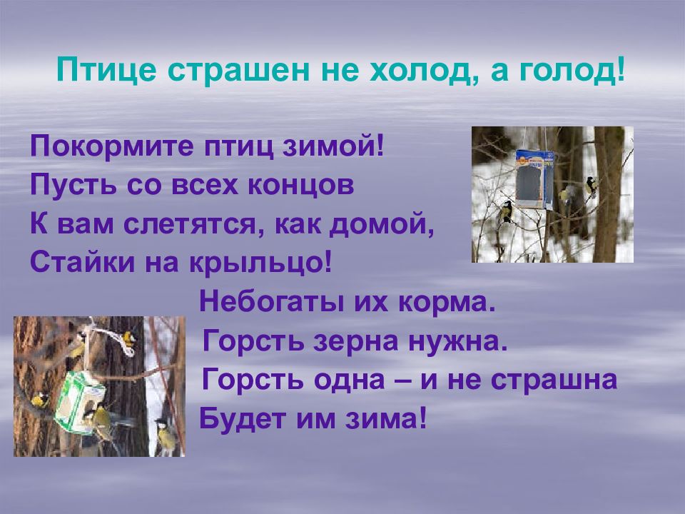Голод погода. Голод погода. Голод погода. Сколько в мире голодающих людей. Голод погода.