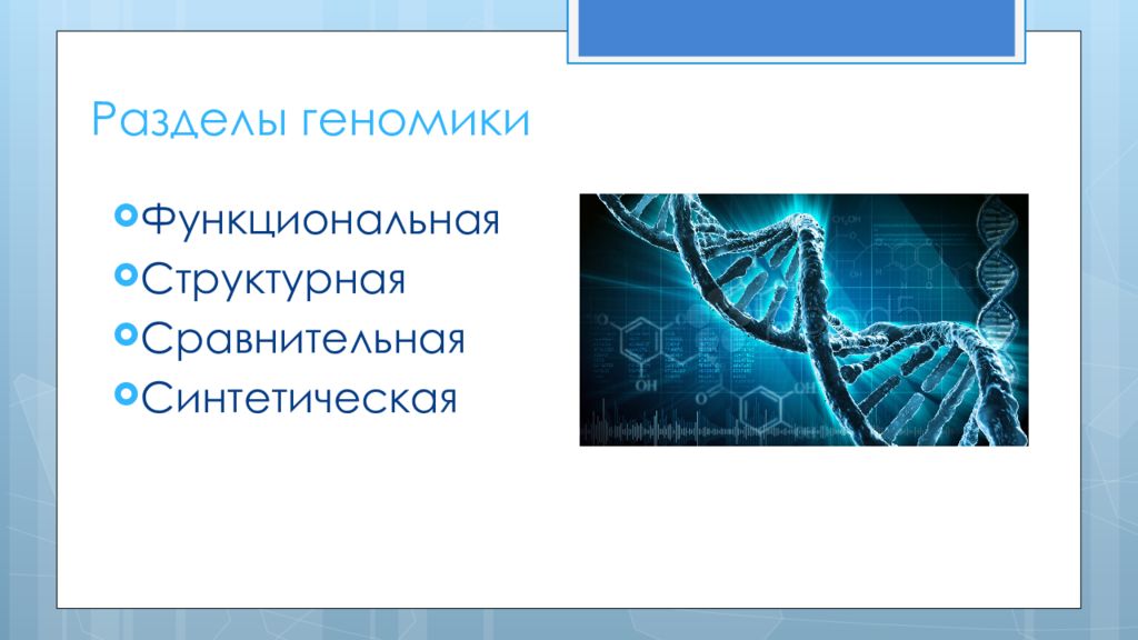 Геномика. Разделы геномики. Геномика и Транскриптомика. Структурная геномика. Функциональная и сравнительная геномика..