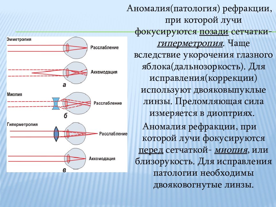 Строение вспомогательного аппарата глаза презентация