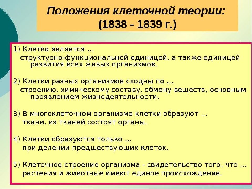 Положение клетки теории. Основные положения клеточной теории таблица. Сущность клеточной теории строения организмов. Клеточная теория таблица. Клеточная теория положения 1838 1839.