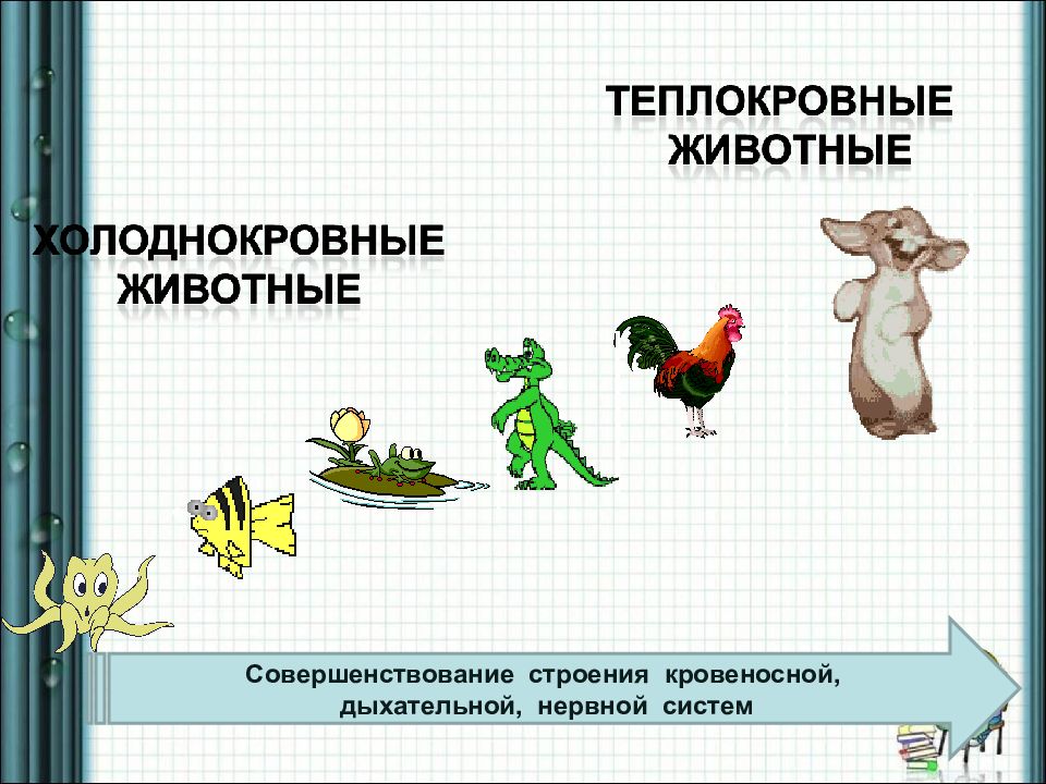 Превращение по схеме