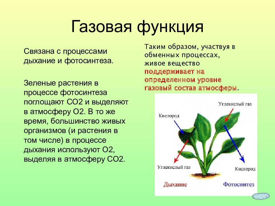 Функции газов