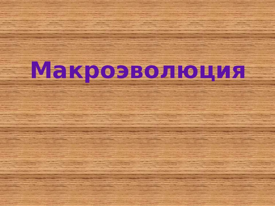 Макроэволюция
