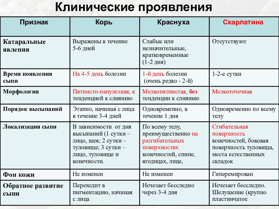 Рисунок сыпь корь