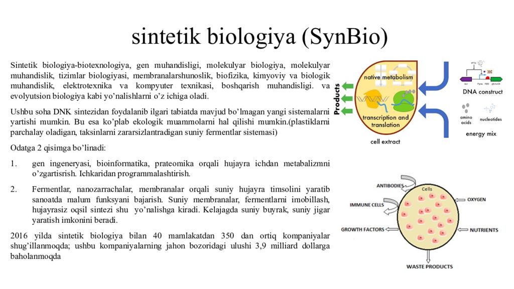 DNK ning tuzilishi va DNK replikatsiyasi sintetik biologiya  ( SynBio )