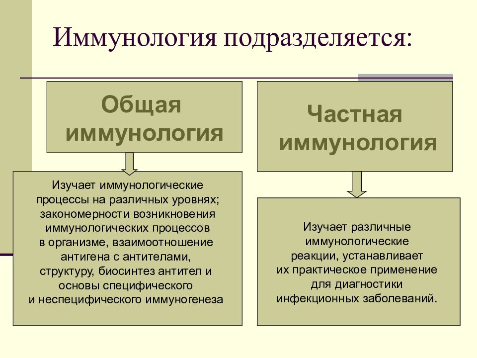 Иммунология это. Основные разделы иммунологии. Общая иммунология изучает. Общая и частная иммунология. Разделы частной иммунологии.