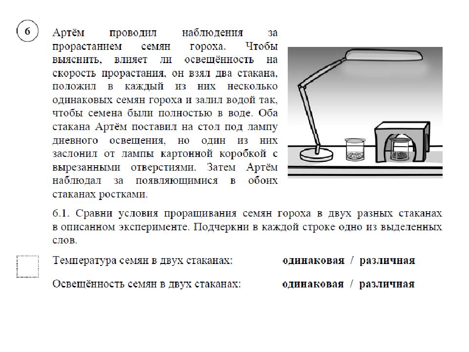 Подготовка к впр окружающий мир 4 класс презентация