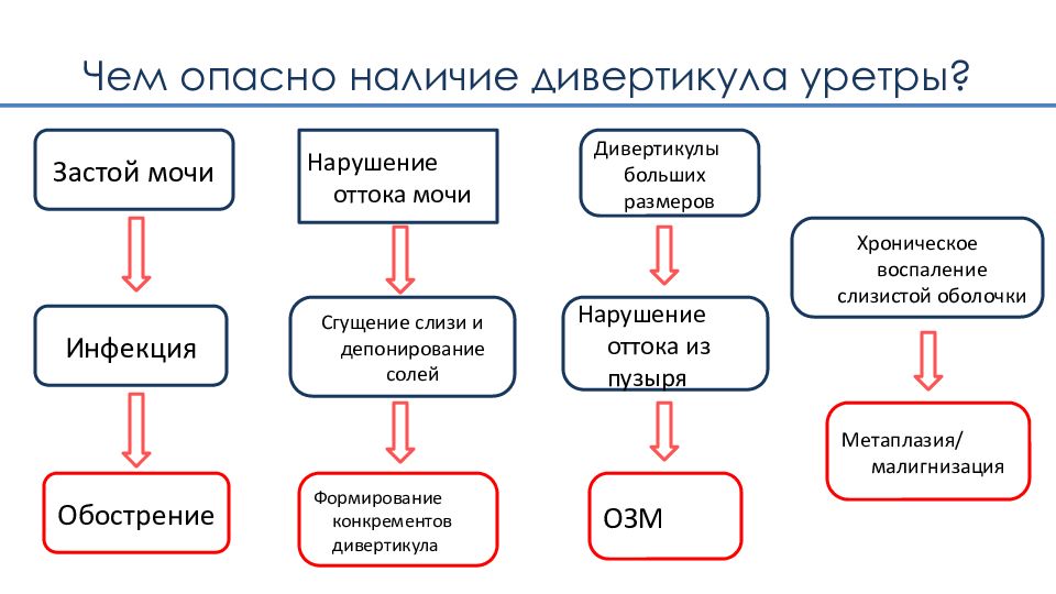 Парауретральные железы у женщин расположение и стимуляция фото