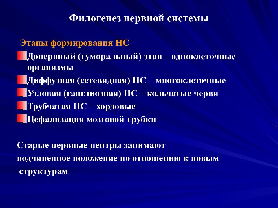 Развитие органов нервной системы презентация