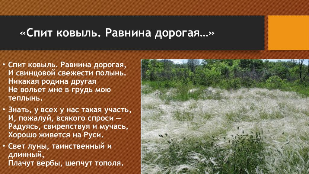 Ковыль равнина. Есенин ковыль равнина дорогая. Спит ковыль равнина дорогая. «Спит ковыль. Равнина дорогая...» (1925),.