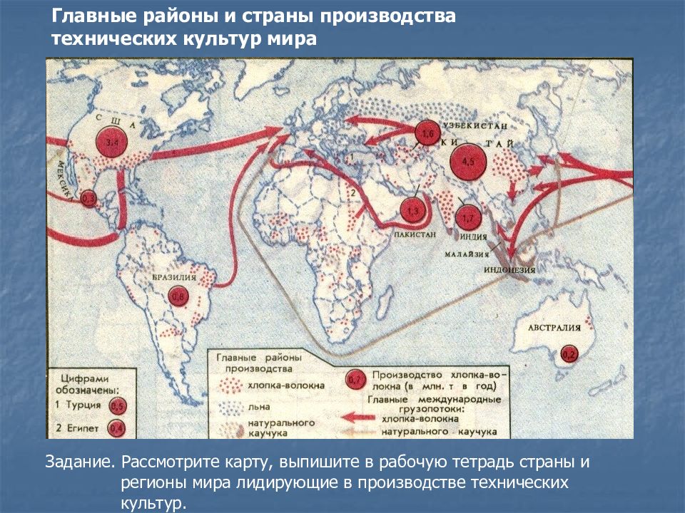 С помощью рисунка 48 определите сельскохозяйственные культуры наиболее характерные для стран