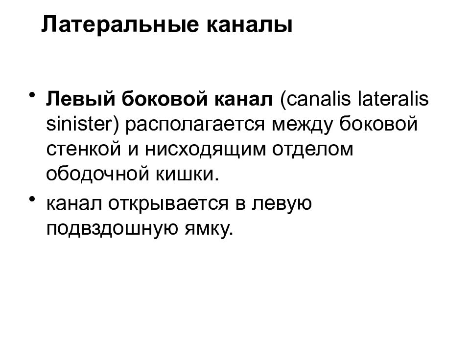 Левый боковой. Левый боковой канал. Левый латеральный канал. Левый боковой канал брюшной полости. Боковые каналы.