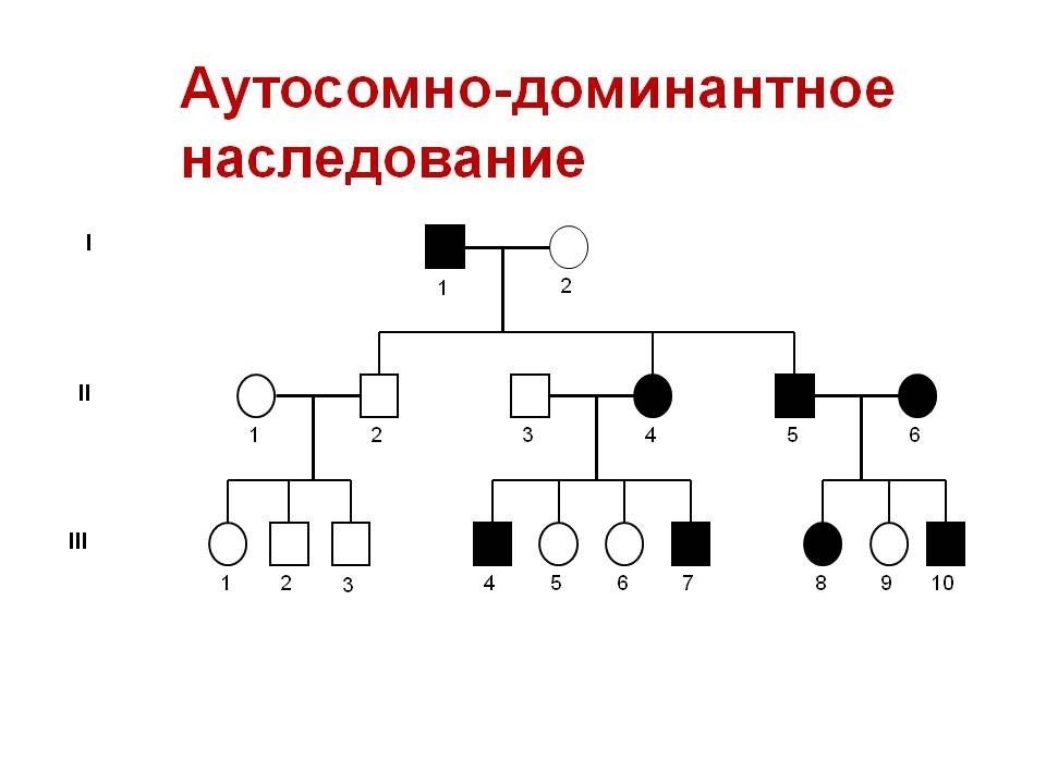 Тип наследования картинки