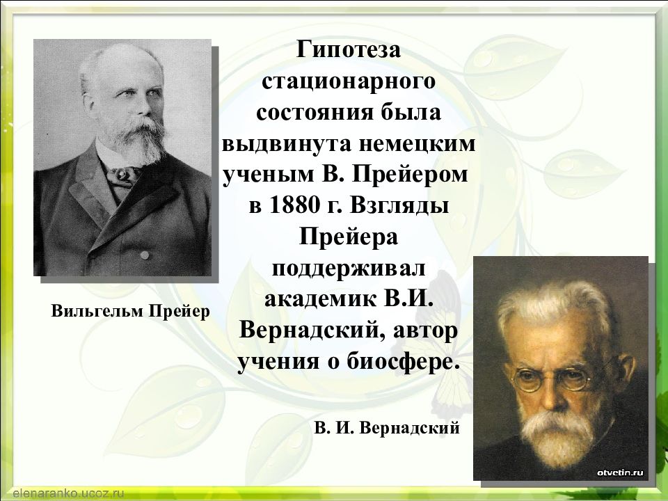 Гипотеза стационарного состояния картинки