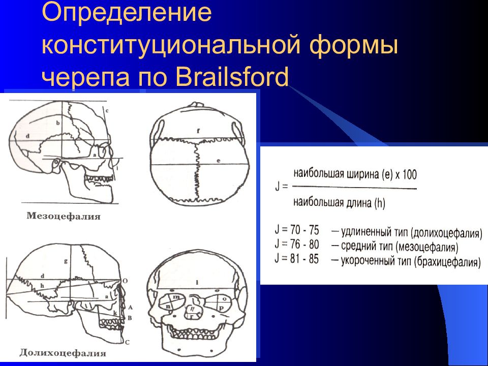 Варианты формы черепа. Форма черепа. Виды форм черепа. Определение конституциональной формы черепа по Brailsford:.