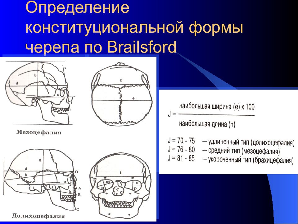Формы черепа. Форма черепа. Формы черепа человека. Особенности форм черепа. Измерение формы черепа.
