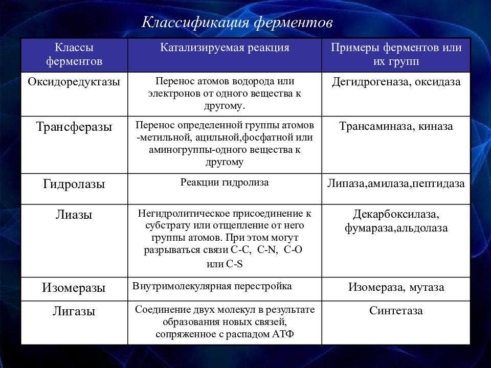 Ферменты презентация по биологии 10 класс