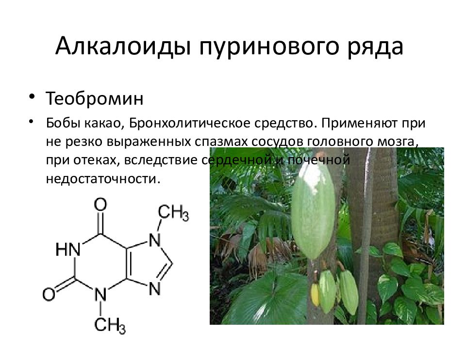 Алкалоиды это. Пуриновые алкалоиды. Алкалоиды пуринового ряда. Гетероциклический ряд алкалоидов. Пуриновые алкалоиды формула.