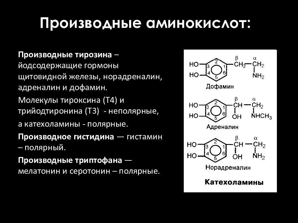 Производные аминокислот