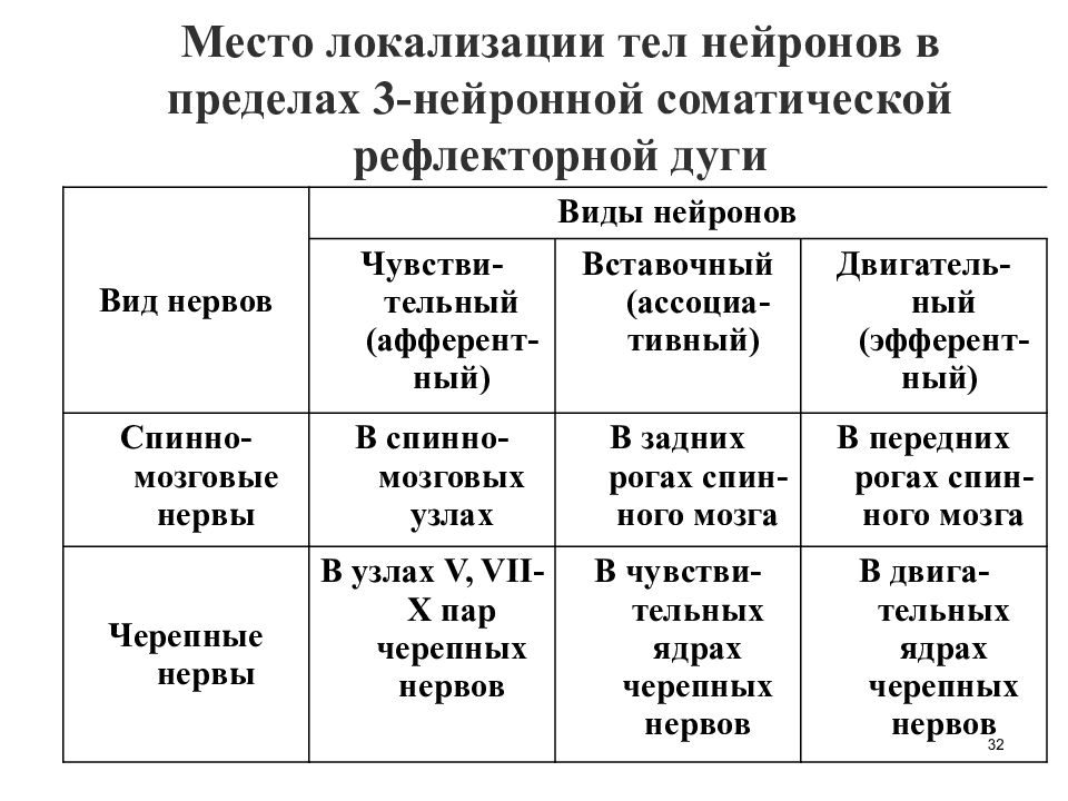 Функциональная анатомия периферической нервной системы презентация