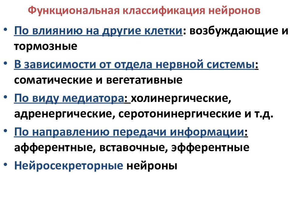 Функциональная классификация. Функциональная классификация нервных клеток. Классификация нейронов по влиянию. Функциональная классификация нейронов. Классификация нейронов по функциям.