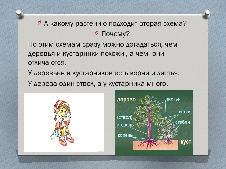 Формирование целостной картины мира функция