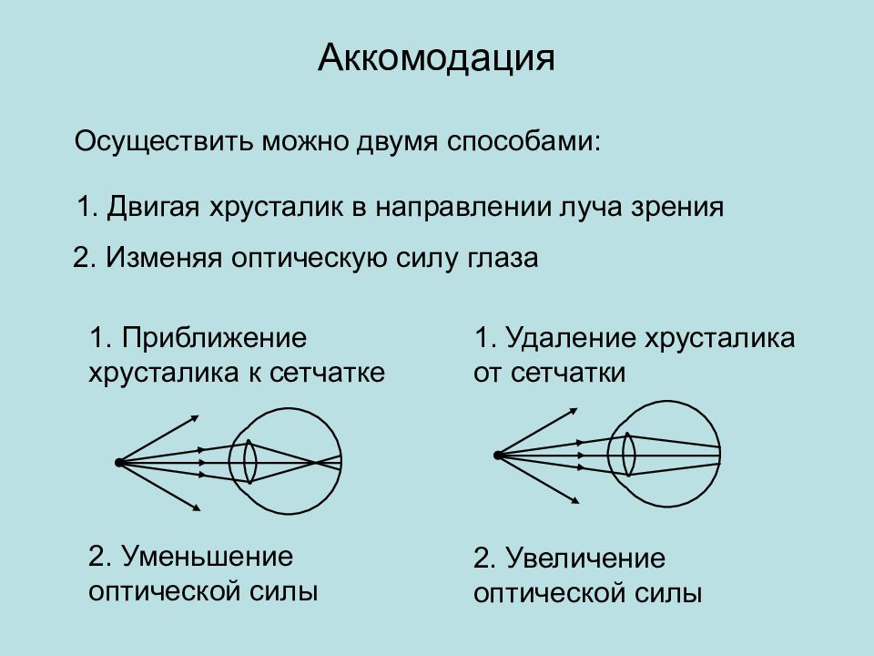 Картинки аккомодация глаза